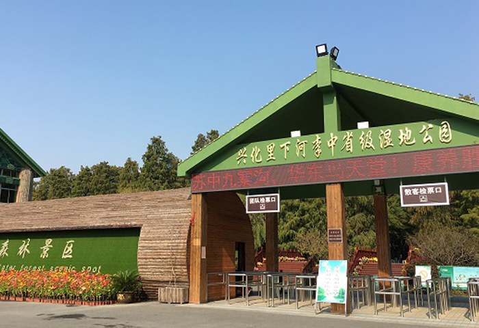 李中水上濕地森林公園